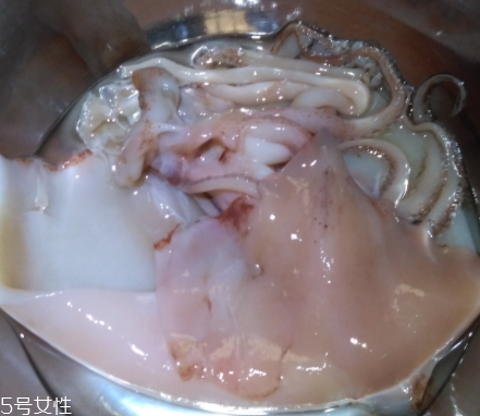 魷魚是海鮮嗎？魷魚屬于海鮮嗎？