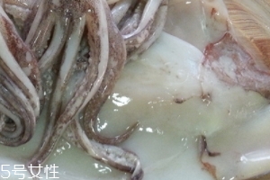 魷魚(yú)是烏賊嗎？魷魚(yú)跟烏賊是一種嗎？