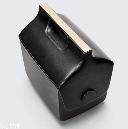 alexander wang與夢(mèng)龍合作款包包多少錢_在哪買？