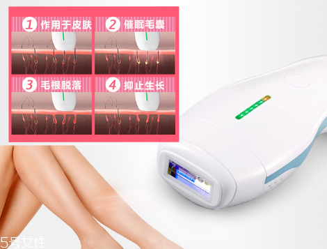 deess脫毛儀多少錢？蒂絲脫毛儀價格