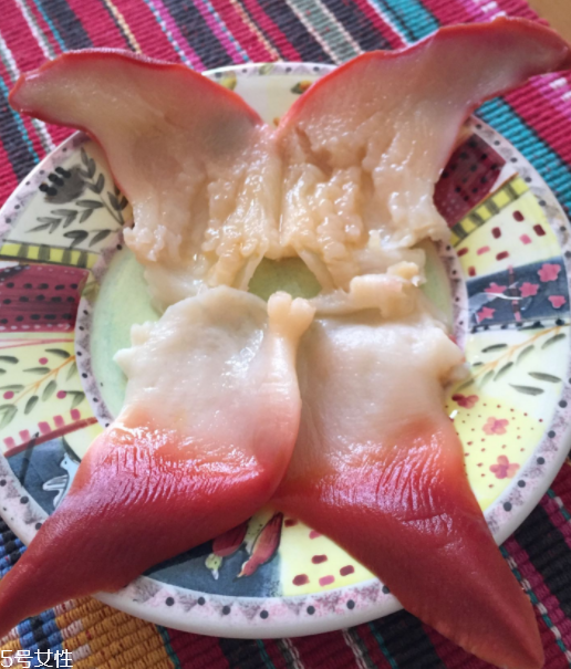 北極貝是海鮮嗎？北極貝介紹