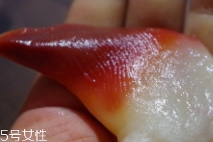 北極貝能不能煮？煮北極貝可以嗎？