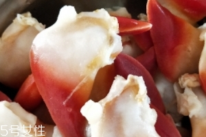 北極貝可以涮火鍋嗎？北極貝可以下火鍋吃嗎？