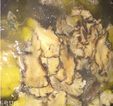 烏骨雞是烏雞嗎？烏骨雞是什么雞？