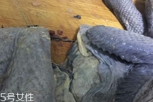 烏雞下奶嗎？烏雞怎么吃下奶？