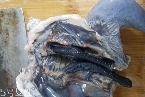 烏雞是公雞好還是母雞好？烏雞買公雞還是母雞？