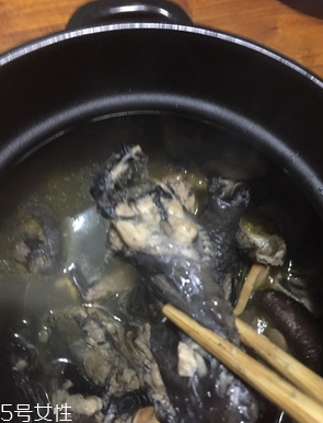 烏雞是公雞好還是母雞好？烏雞買公雞還是母雞？