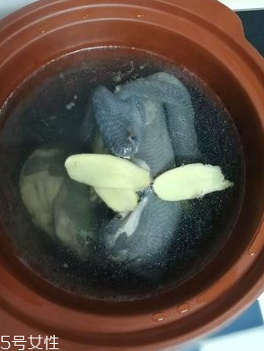 烏雞是熱性還是涼性？烏雞偏熱還是偏涼？