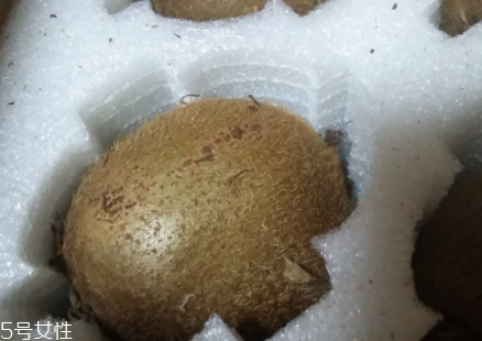 綠心獼猴桃硬的能吃嗎？硬的綠心獼猴桃能吃嗎？