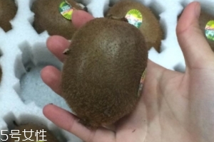 綠心獼猴桃怎么催熟？綠心獼猴桃的催熟方法
