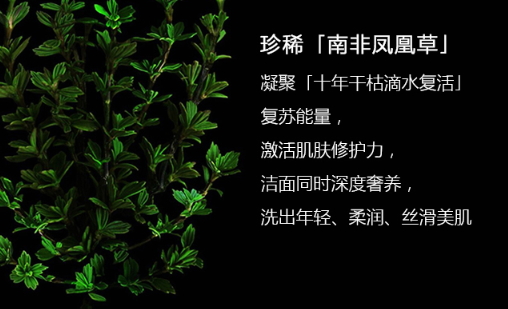阿瑪尼洗面奶怎么樣？阿瑪尼洗面奶評測
