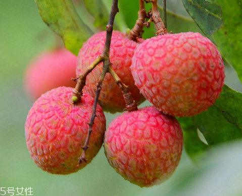 荔枝是涼性還是熱性？月經(jīng)來了能吃荔枝嗎