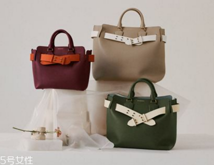 burberry the belt bag多少錢？巴寶莉貝爾特包專柜價(jià)格