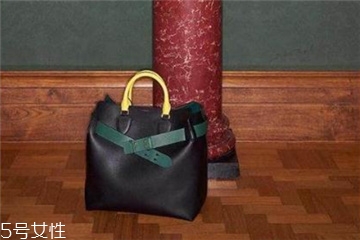 burberry the belt是什么皮？巴寶莉貝爾特包材質(zhì)