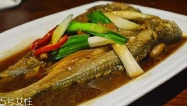 青魚是鯉魚嗎？青魚和鯉魚是不是一樣的？
