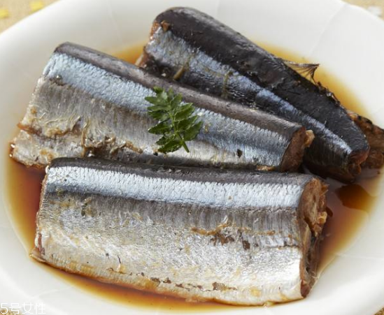 青魚(yú)怎么釣？青魚(yú)可以用什么餌料？