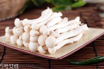 白玉菇的營養(yǎng)價值 白玉菇有什么營養(yǎng)？
