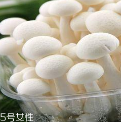 白玉菇的營養(yǎng)價值 白玉菇有什么營養(yǎng)？