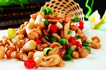 白玉菇和金針菇的區(qū)別 白玉菇是金針菇嗎？