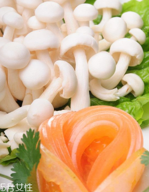 白玉菇和金針菇的區(qū)別 白玉菇是金針菇嗎？