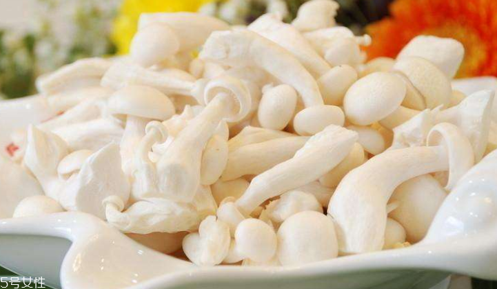 白玉菇長(zhǎng)白毛是怎么回事？白玉菇長(zhǎng)白毛還能吃嗎？