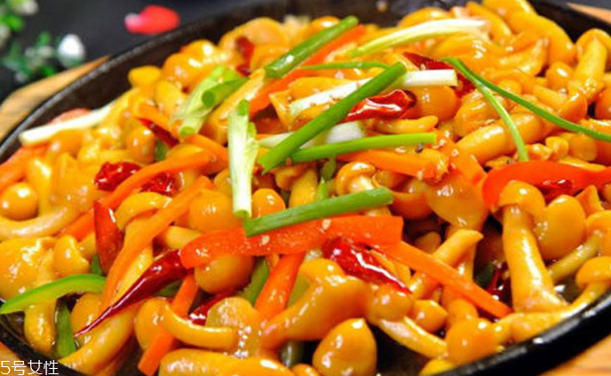 滑子菇野生和滑子菇養(yǎng)殖的區(qū)別 野生滑子菇的好嗎？
