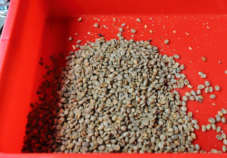 咖啡豆新豆、舊豆、老豆各有什么特色