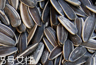 葵瓜子的熱量 葵瓜子會長胖嗎？