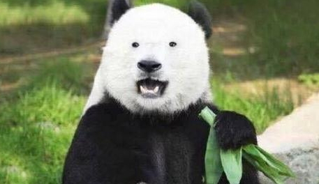 激光去黑眼圈多久恢復？激光除黑眼圈多久見效