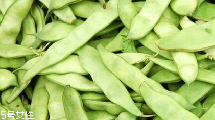 蕓豆是什么？蕓豆是豆角嗎？
