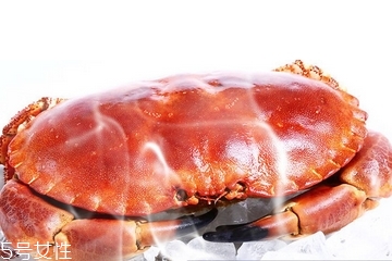 面包蟹肉多嗎？面包蟹幾月份最肥
