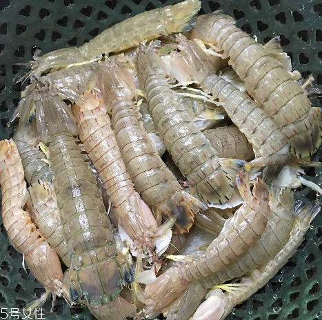 皮皮蝦能和櫻桃一起吃嗎？皮皮蝦和櫻桃可以同吃嗎？