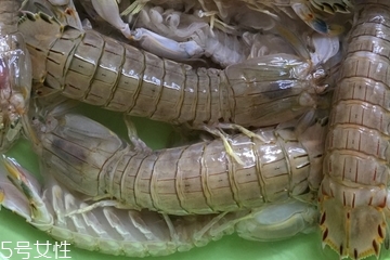 皮皮蝦皮能不能吃？皮皮蝦可以連皮吃嗎？