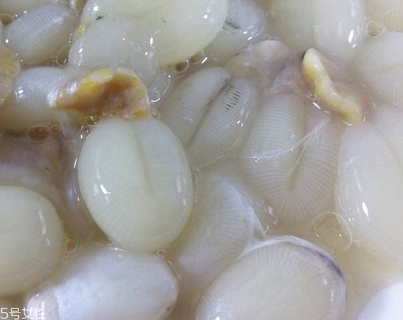 墨魚蛋的做法 墨魚蛋怎么做？