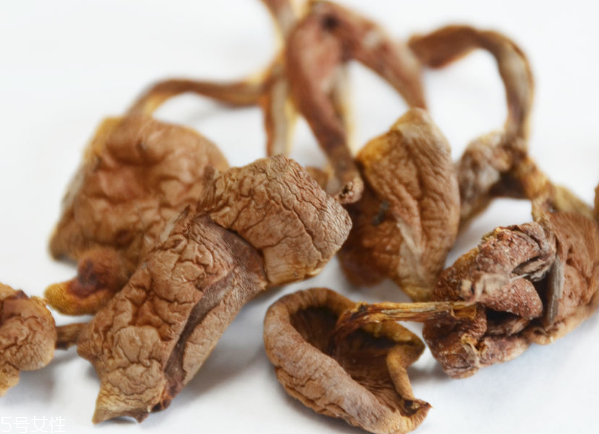 榛蘑和蘿卜相克嗎？榛蘑能不能和蘿卜一起吃？