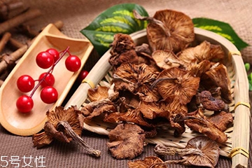 榛蘑的好處 榛蘑對人有什么益處？