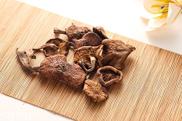 榛蘑是蘑菇嗎？榛蘑是什么蘑菇？