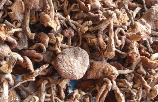 榛蘑和木耳的區(qū)別 榛蘑和木耳能一起吃嗎？