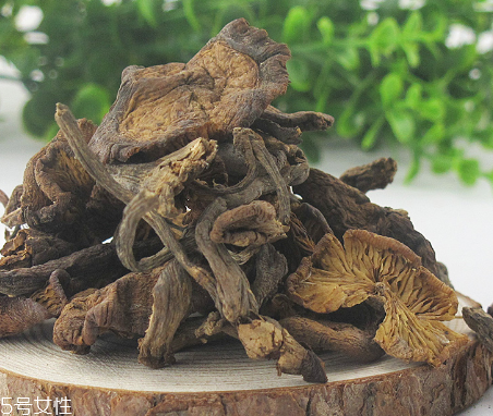 榛蘑能和豆腐一起吃嗎？榛蘑豆腐的做法