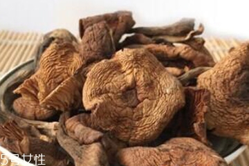 榛蘑和香菇能一起吃嗎？
