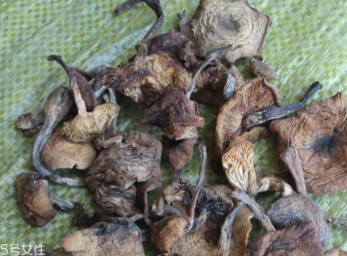 榛蘑能保存多久？干榛蘑怎么保存最好？