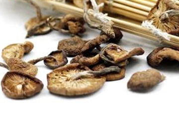 榛蘑可以煲鴨肉嗎？榛蘑可以煲鴨肉