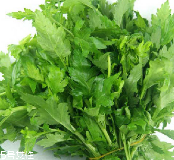 菊花腦是苦的嗎？菊花腦苦不苦？
