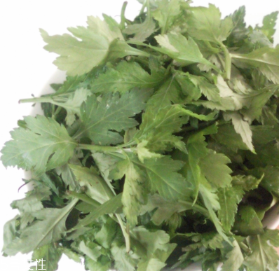 菊花腦怎么挑選？菊花腦選購技法