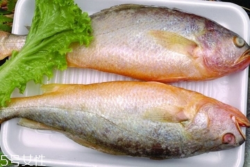 黃花魚是發(fā)物嗎？黃花魚是涼性的嗎？