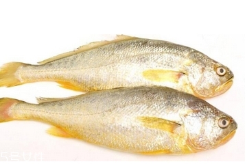 黃花魚清蒸多長時間？黃花魚清蒸的做法