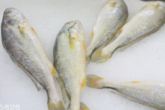 黃花魚清蒸多長時間？黃花魚清蒸的做法