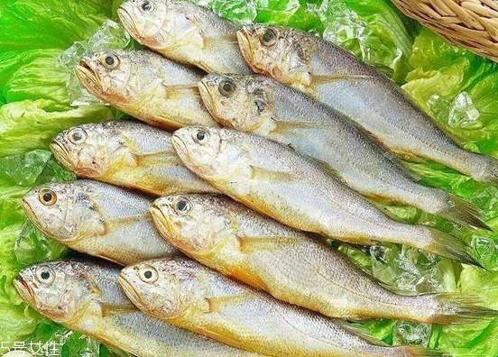 黃花魚去鱗嗎？黃花魚去內(nèi)臟嗎？