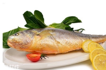 黃花魚為什么都是死的？死黃花魚可以吃嗎？