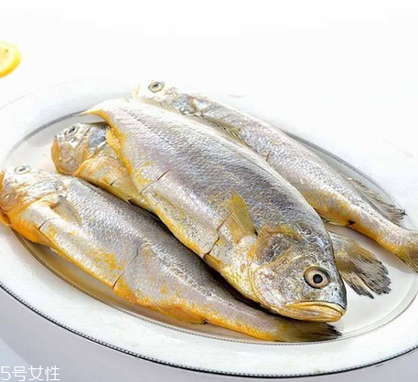 黃花魚(yú)為什么都是死的？死黃花魚(yú)可以吃嗎？